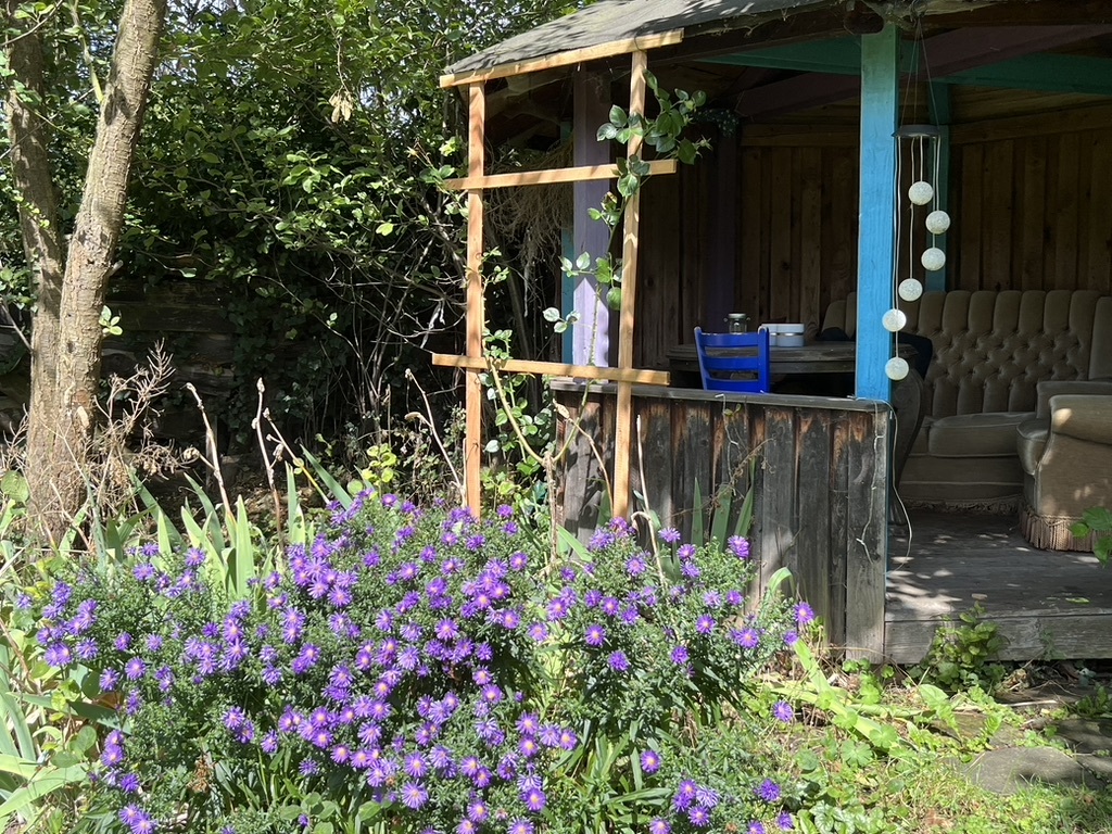 6 FE0909 D 1 AC6 492 F BA3 D 92842 BC50 CAF 1 105 c