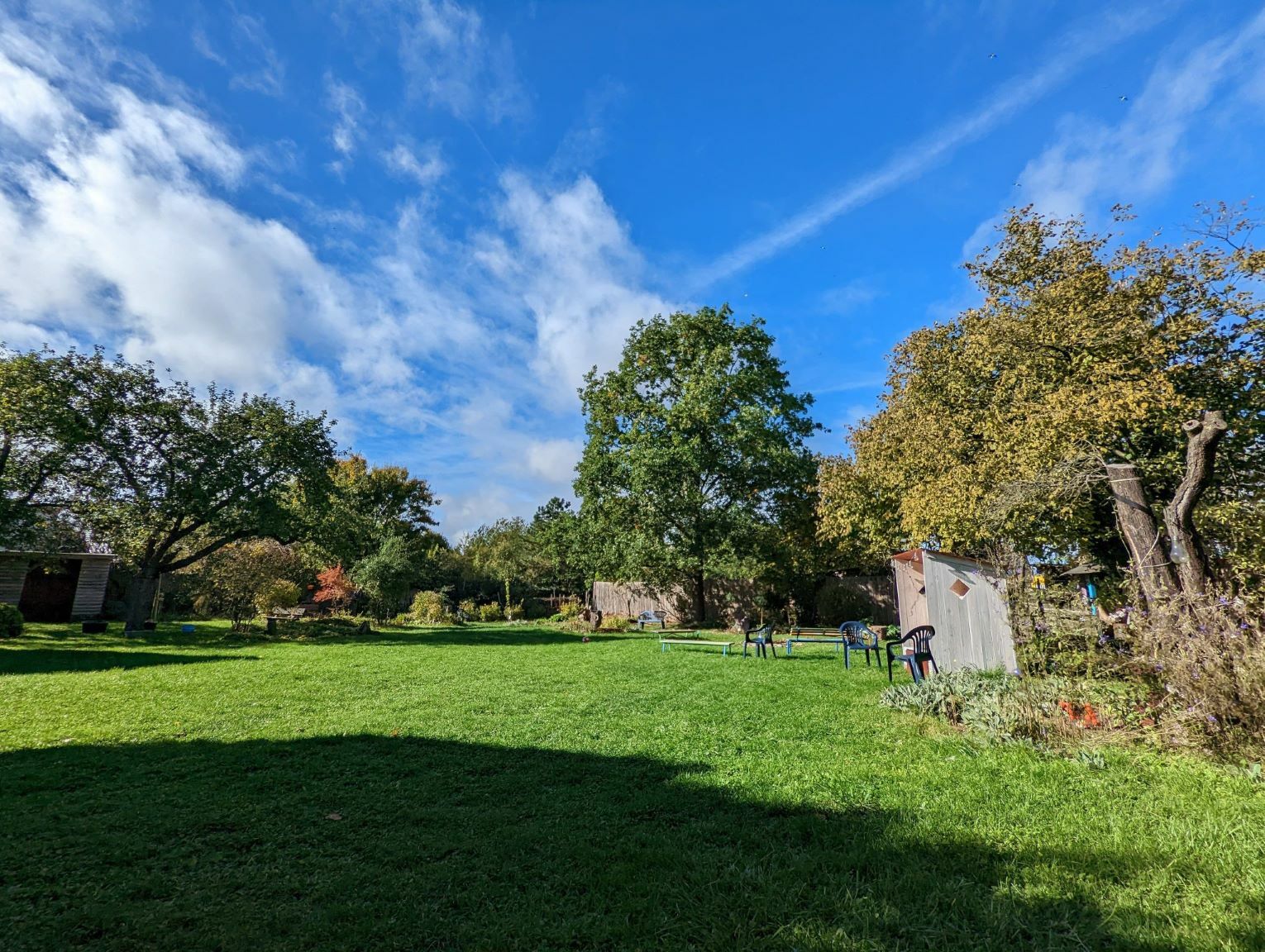 Lila bunt Garten 1